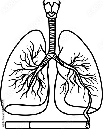 Healthy Lung and Smoker's Lung for Coloring. The effect of smoking on the human respiratory system. Lungs cancer. Vector Illustration of Human Internal Organs