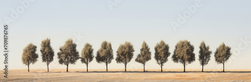 Row of Trees in Field, Natures Serene Beauty Captured in One Frame © Piotr