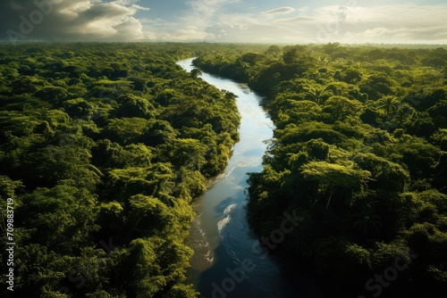 Amazon river drone photography