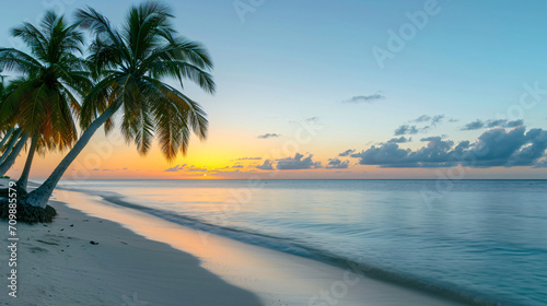 Tropical sunset landscape with palm trees and a calm beach. © Damian