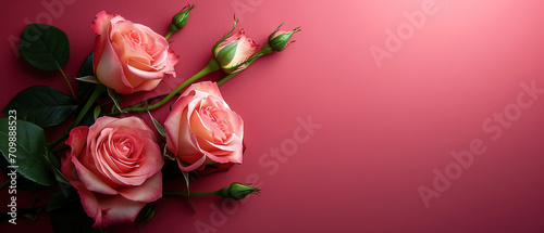 roses with light red background Top view  Valentines day Woman day  Love and birthday theme  with empty copy space