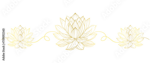 Golden lotus line art style vector illustration