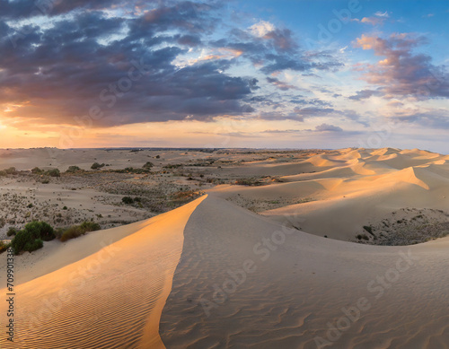 Panorama of desert with sand dunes against the dramatic sky