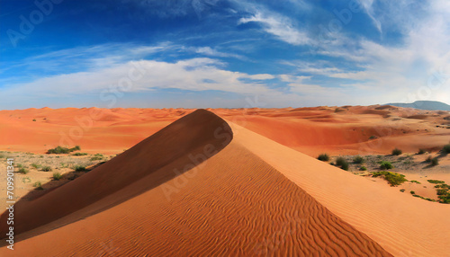 Panorama of desert with red sand dune and blue sky
