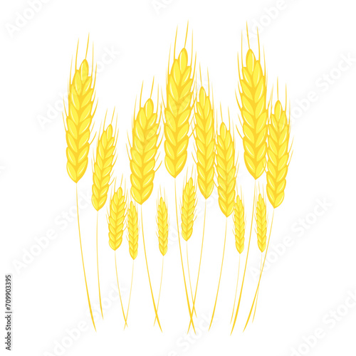 Bunch of wheat, vector illustration