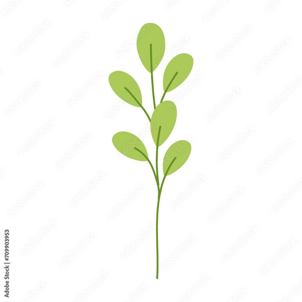 branch isolated on white background branch isolated on white background