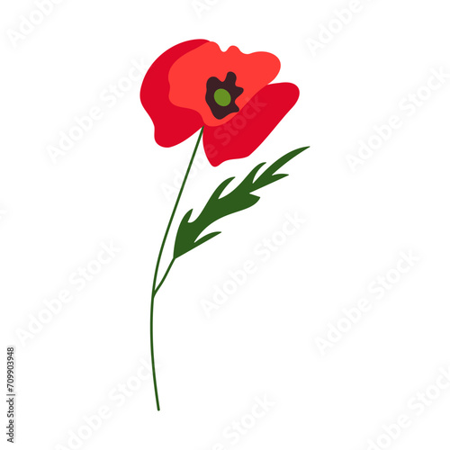 Vector red poppies isolated on white