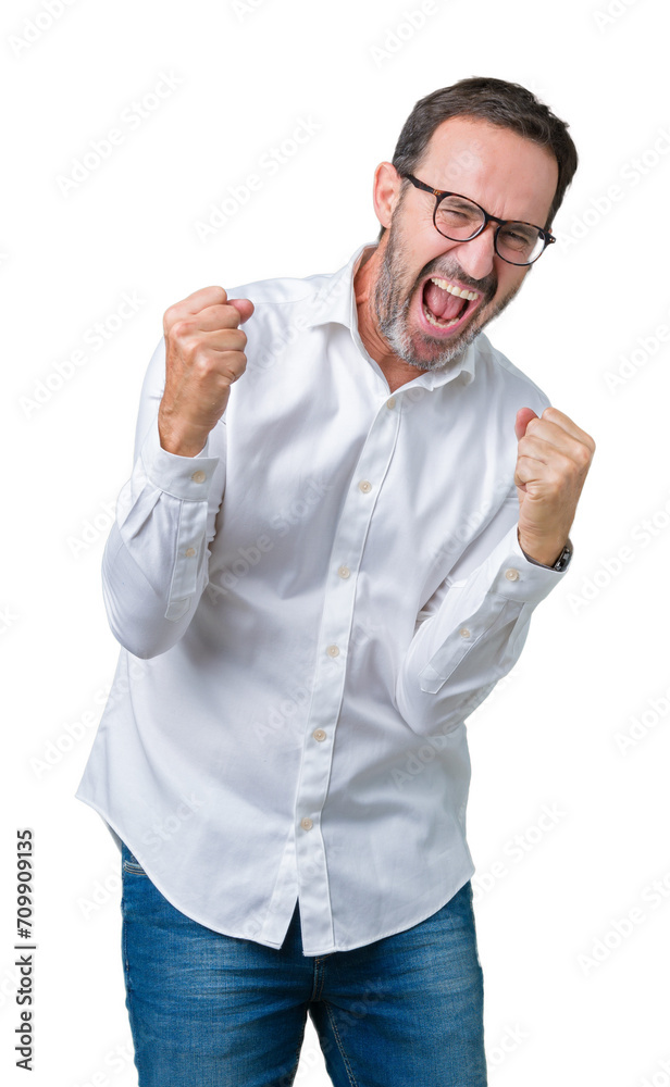 Handsome middle age elegant senior business man wearing glasses over isolated background very happy and excited doing winner gesture with arms raised, smiling and screaming for success Handsome middle age elegant senior business man wearing glasses over isolated background very happy and excited doing winner gesture with arms raised, smiling and screaming for success