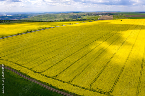 Aerial shot of fields with a tractor traces on the yellow agricultural field.