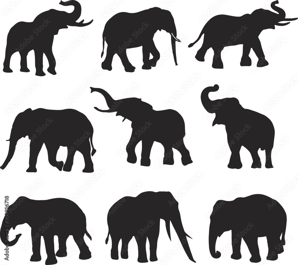 Black Elephant Silhouette Vector Art,Icons. Black Elephant Silhouette Vector Art,Icons.