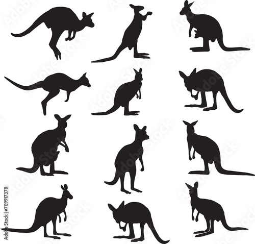 kangaroo silhouettes set