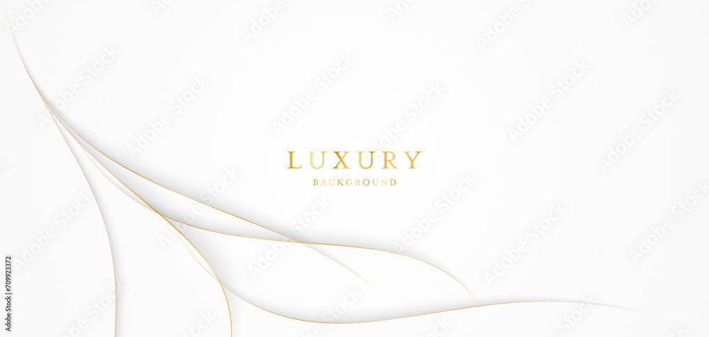 Obraz premium White background with elegant golden lines, use for template or cover. Elegant premium white background. vector illustration 