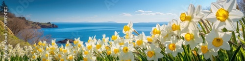 A field of white and yellow flowers next to a body of water