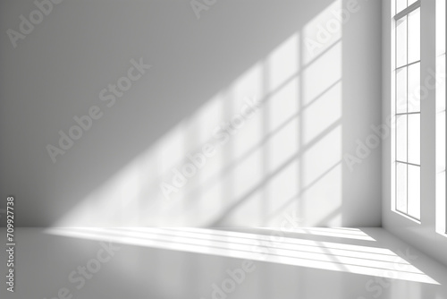 Empty room with Windows Shadows | White walls | Grey shadows | Natural Lighting 