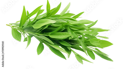 Close up Andrographis paniculata capsules, Isolated on transparent PNG background, Generative ai