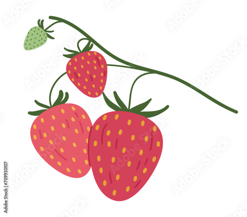 Strawberry branch. Edible red berries for healthy nutrition, hand drawn juicy delicious forest strawberries flat vector illustration. Fresh strawberries on twig