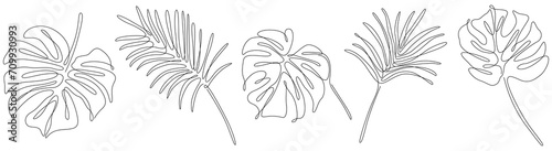 Abstract set of tropical leaves. Black and white engraved ink art continuous line. Isolated leaf illustration element on white background.