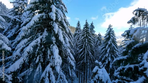 Aerial Forward Shot Of Snowy Fir Trees In Tranquil Forest On Mountains Against Cloudy Sky - French Alps, France
