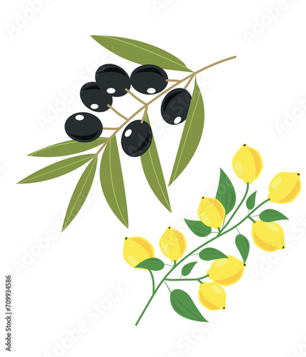 Olive and lemon metaphor for palestinian resistance against israel occupation