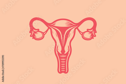 Uterus and ovaries. Female anatomy. Reproductive system. simple icon, logo,vector illustration. red and pink color.  hand drawn,  vintage, old