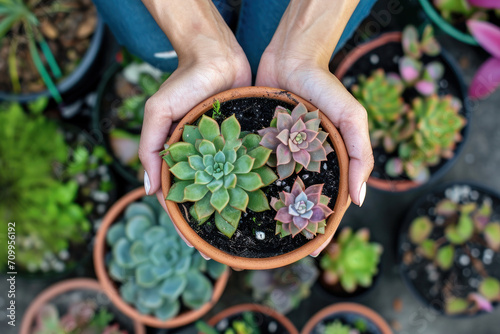 woman holding a succulent in a pot top view 
