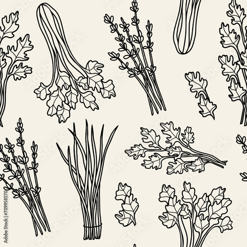 Hand drawn herbs and spices background. Chervil, chives, lavender, celery