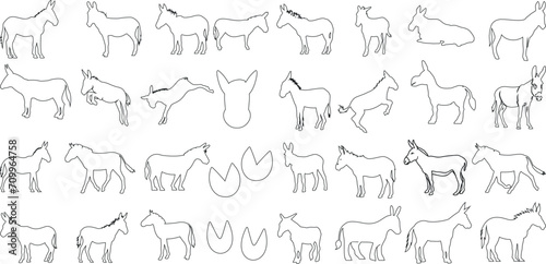 Vector art of donkey outline, perfect donkeys for logo design, brand identity, and pattern creation. Black line drawing of animal illustration in various poses