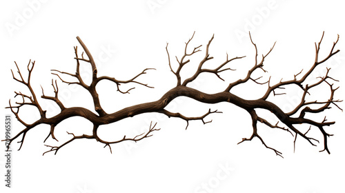 Illustration of a frame of rustling black branches, on a white background created with Generative Ai photo