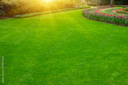 Garden in spring with green grass