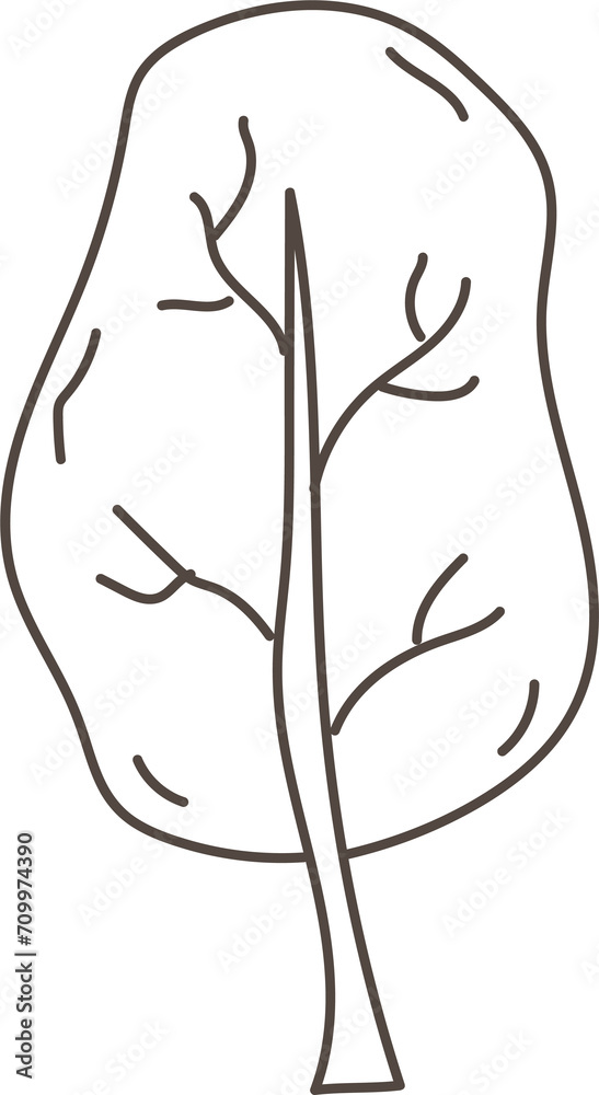 Hand drawn lettuce illustration on transparent background.
Hand drawn lettuce illustration on transparent background.