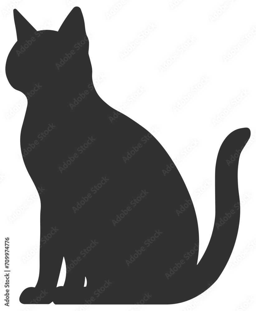 black and white cat black and white cat