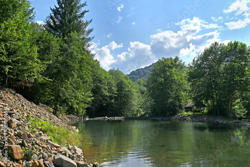 Beautiful mountain landscape with forest lake.