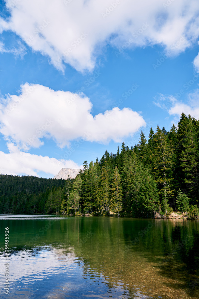 Coniferous forest on the shore of a lake against a cloudy sky