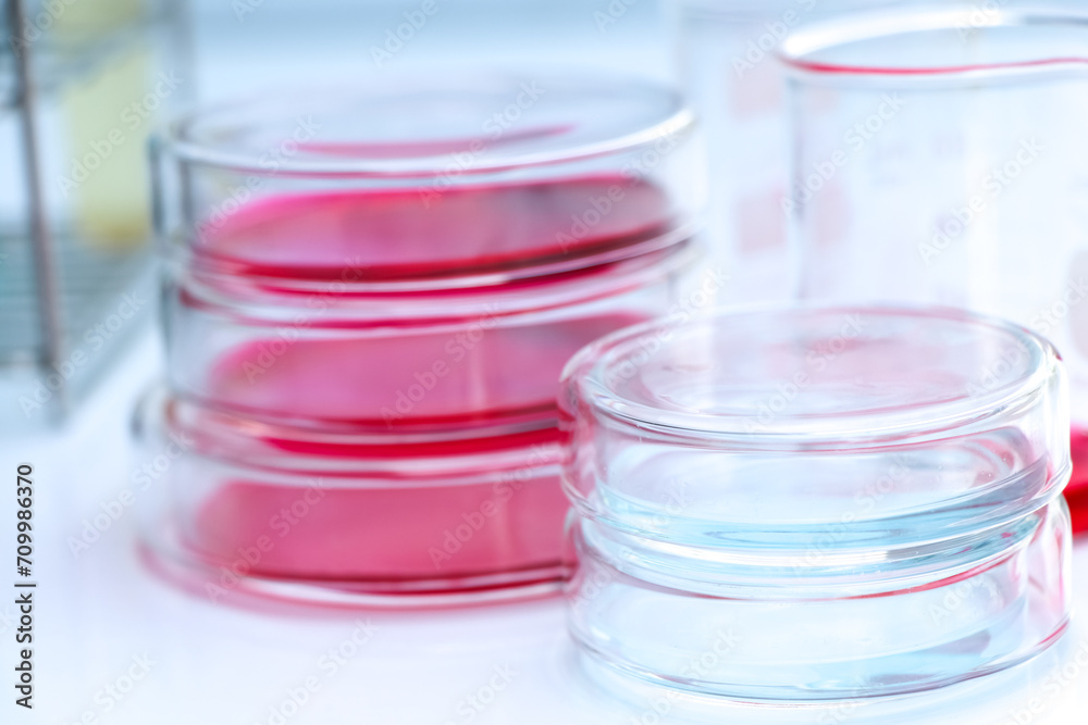 Culture Media in bottle, Culture media used in laboratory Culture Media in bottle, Culture media used in laboratory