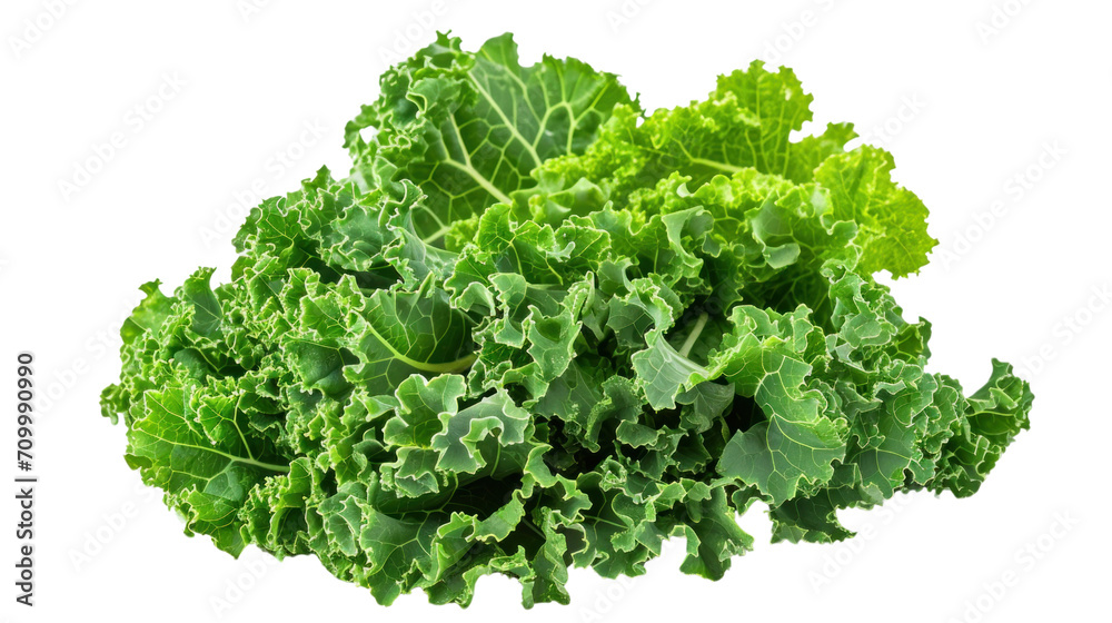 green wavy leaf kale on a transparent background green wavy leaf kale on a transparent background