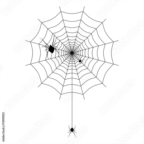 Spider on the web. Vector illustration.