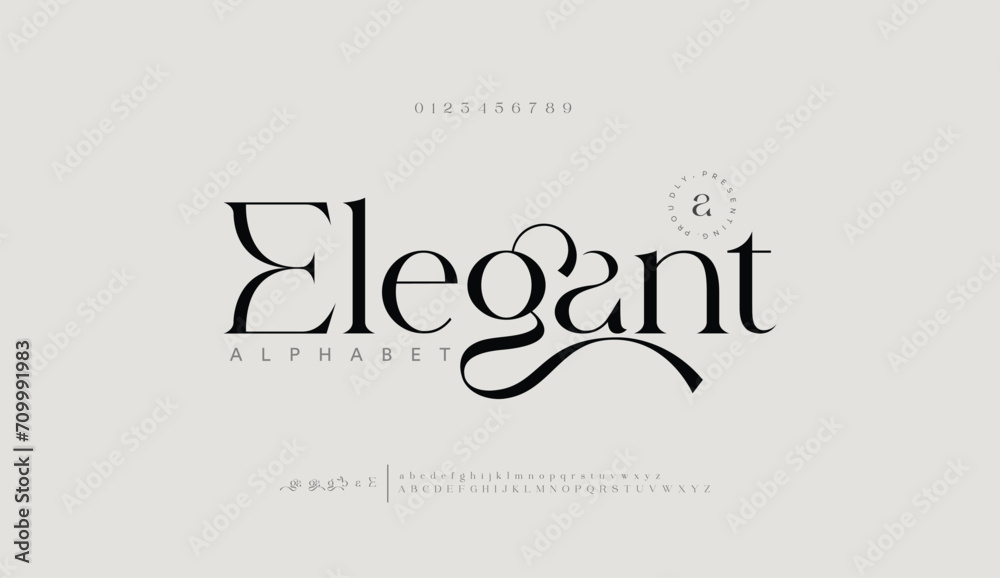 Elegant Font Uppercase Lowercase and Number. Classic Lettering Minimal Fashion Designs. Typography modern serif fonts regular decorative vintage concept. vector illustration