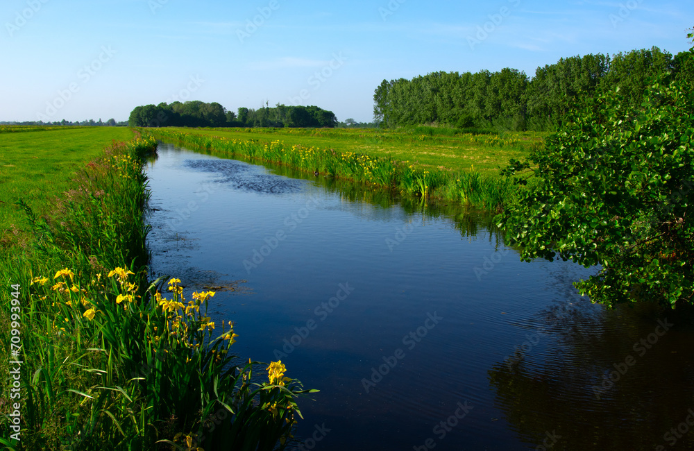 Landscape green meadow and canal with clear water Landscape green meadow and canal with clear water