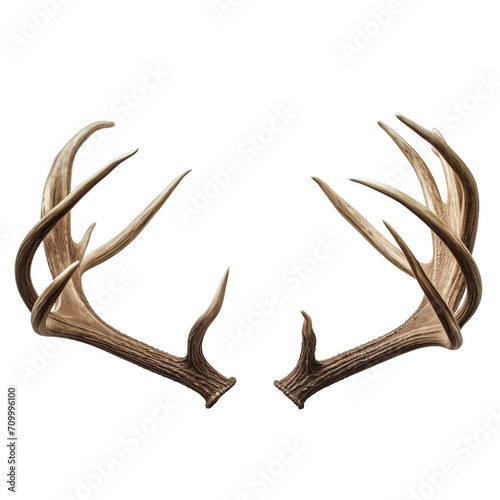 Deer antlers isolated on a white or transparent background close-up. Overlay of deer antlers for insertion. A design element to be inserted into a design or project. © SERSOLL