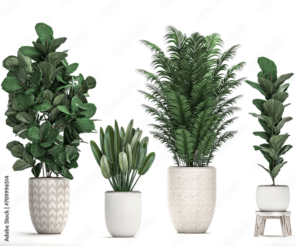 3D digital render of plant in a white modern pot isolated on white background