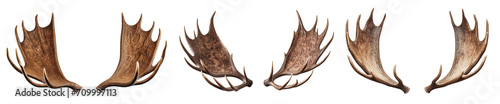 Set of different moose antlers isolated on transparent background. Overlays of moose antlers close-up for insertion. A design element to be inserted into a design or project. photo
