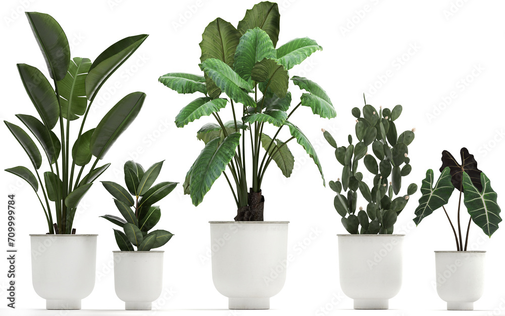 3D digital render of plant in a white modern pot isolated on white background