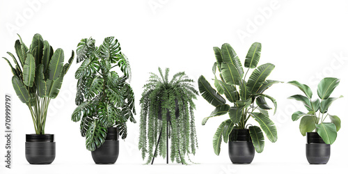 3D digital render of plant isolated on white background
