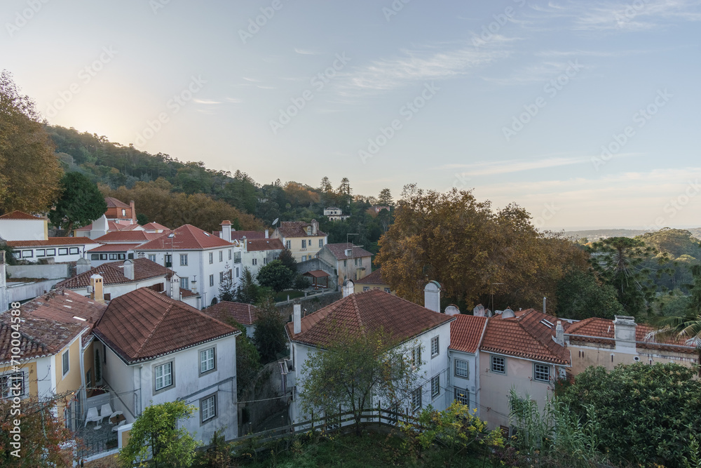 Cityscape of houses among autumnal trees in the town of Sintra, Portugal