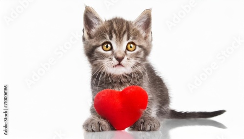 kitten with red heart