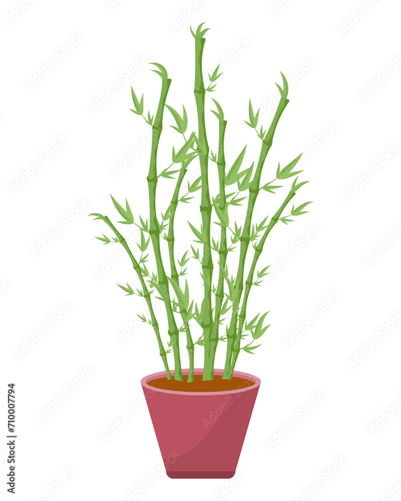 Bamboo in a pot. Chinese tree. Elements of interior design. Vector illustration.