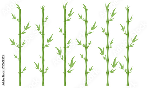 Set of bamboo stems. Vector illustration.