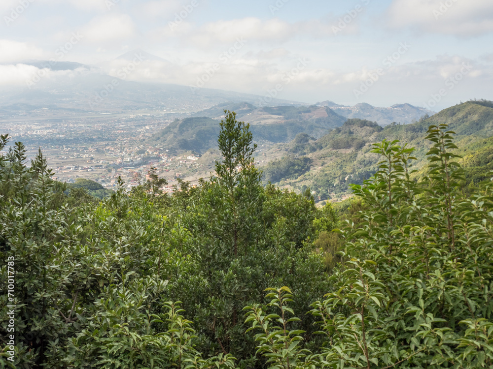 Naklejka premium Die Insel Teneriffa