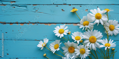 Daisies  on a blue background, copy space, woman's day banner, mother's day background © reddish