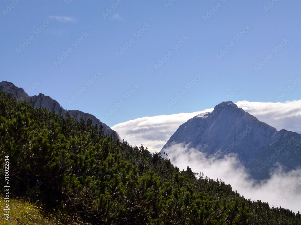 The slopes of the mountains covered with forest and grass against the background of the blue sky. Picturesque natural landscape